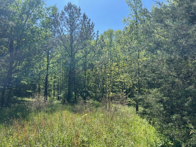 0 Woodkraft rd, Madison, GA à vendre - Photo du bâtiment - Image 1 de 3