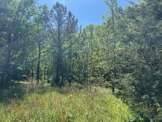 Plus de détails pour 0 Woodkraft rd, Madison, GA - Terrain à vendre
