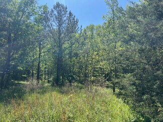 Plus de détails pour 0 Woodkraft rd, Madison, GA - Terrain à vendre