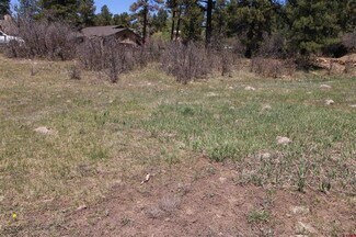 Plus de détails pour 685 Caddy cir, Pagosa Springs, CO - Terrain à vendre