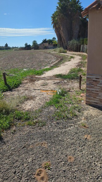 Land in Elche, Alicante for sale - Primary Photo - Image 1 of 7