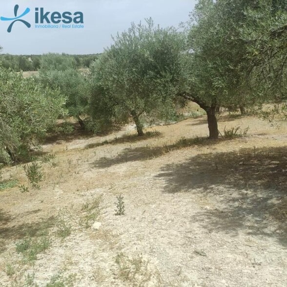 Land in Jaén, Jaén for sale - Building Photo - Image 1 of 22