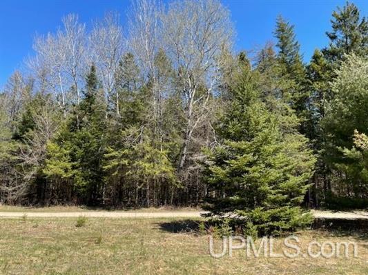 TBD Ackerman Lake Road, Munising, MI for sale - Building Photo - Image 3 of 6