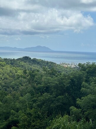 More details for Barrios Anton Ruiz y PR-925, Humacao - Land for Sale