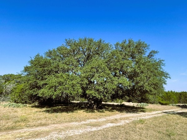 4547 County Road 108, Burnet, TX à vendre - Photo du bâtiment - Image 2 de 22