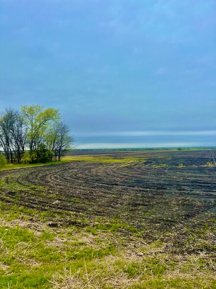 NWC Highway 175 & CR 4104, Crandall, TX à vendre - Autre - Image 2 de 7