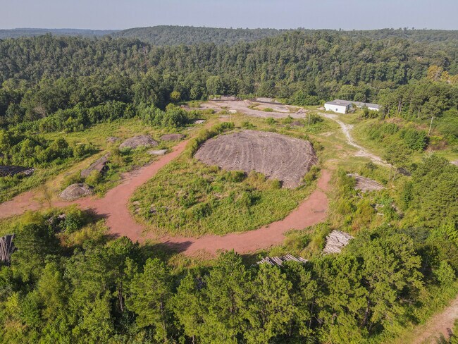 Plus de détails pour 2212 Alliance Rd, Quinton, AL - Terrain à vendre