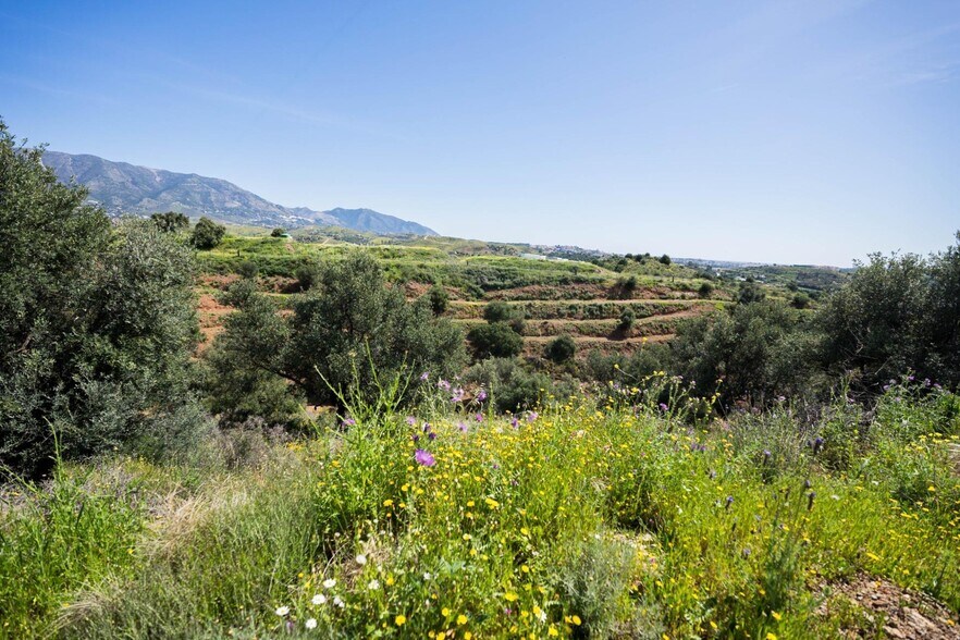Land in Mijas, Málaga for sale - Primary Photo - Image 1 of 10