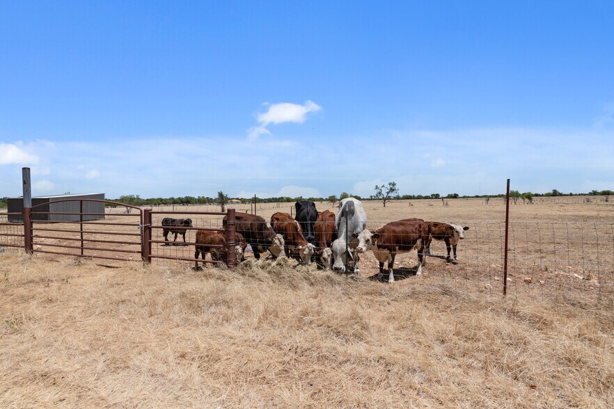 1150 County Road 308, Jarrell, TX à vendre - Aérien - Image 3 de 14