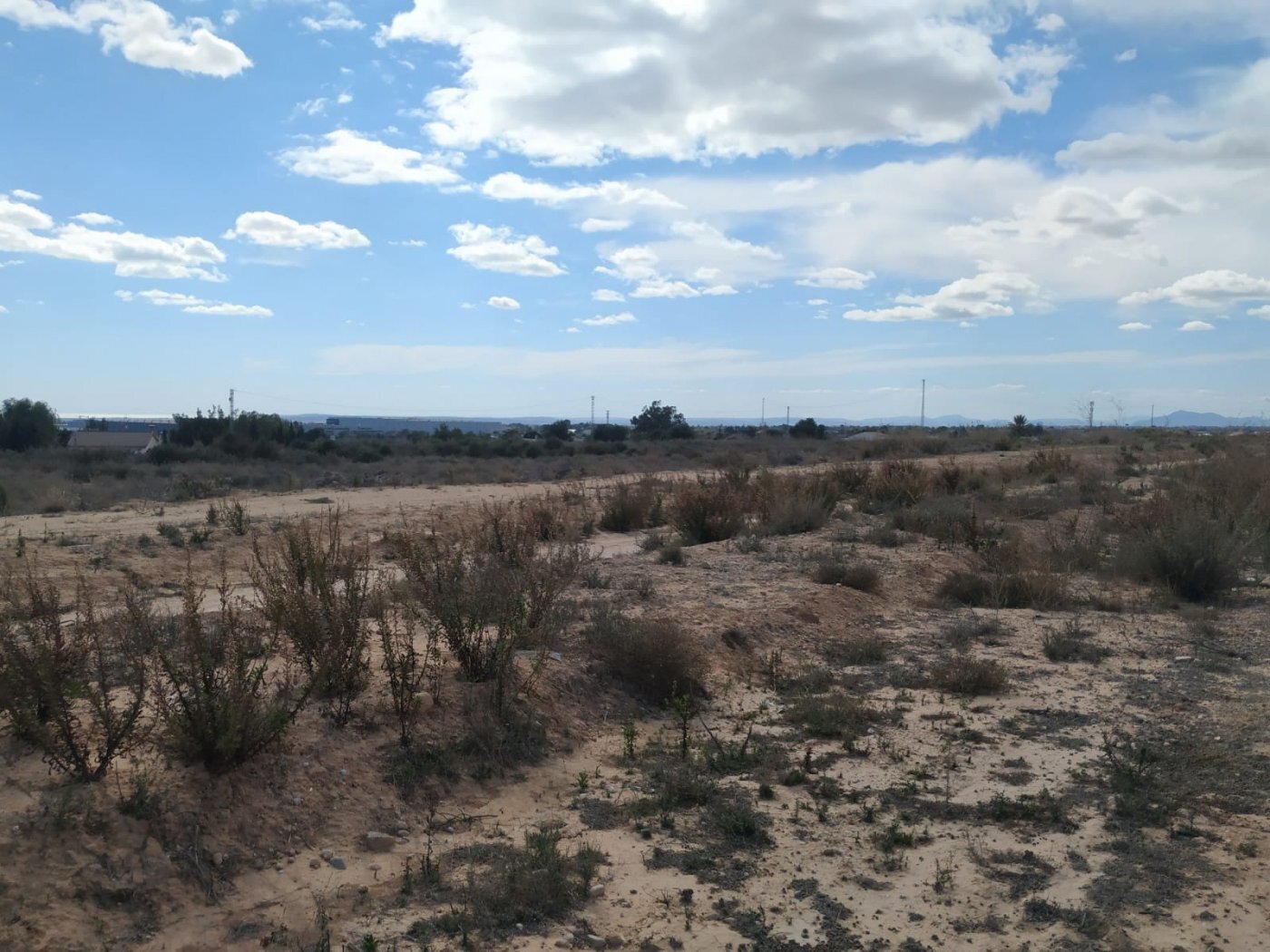 Terrain dans Elche, Alicante à vendre Aérien- Image 1 de 6