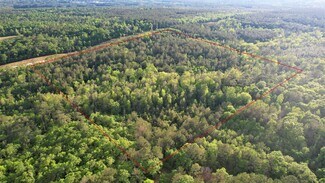 Plus de détails pour 0 Pleasant Hill rd, Century, FL - Terrain à vendre