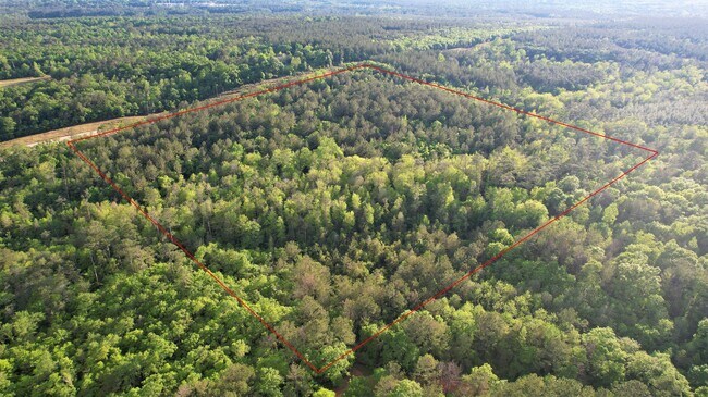 Plus de détails pour 0 Pleasant Hill rd, Century, FL - Terrain à vendre