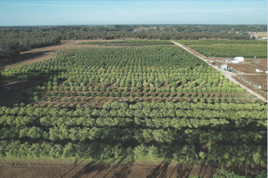 101 Thomas Demps Ln, Perry, FL à vendre - Aérien - Image 3 de 5