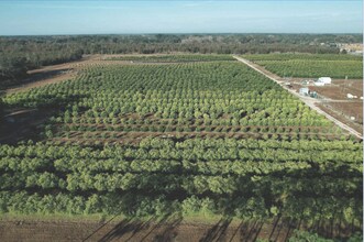101 Thomas Demps Ln, Perry, FL - AÉRIEN  Vue de la carte - Image1