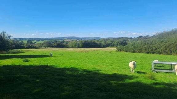 22 Horsewhim Dr, Callington à vendre - Autre - Image 2 de 3