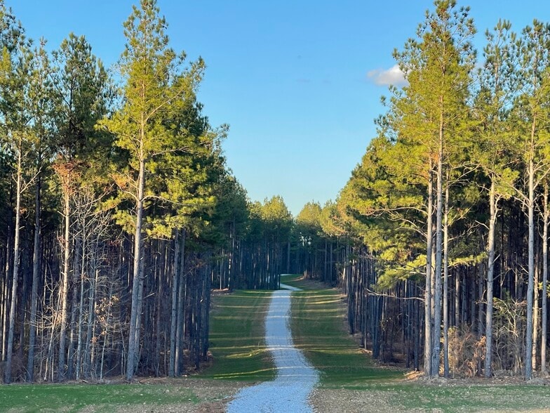 92 Lillian Strong rd, Carlton, GA for sale - Primary Photo - Image 1 of 94