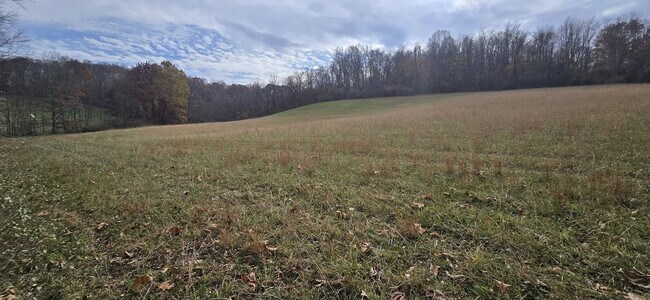 Plus de détails pour 3396 Benedum Dr, Bridgeport, WV - Terrain à vendre
