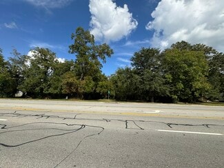 More details for 00 Golden Isles Parkway Pky, Lumber City, GA - Land for Sale