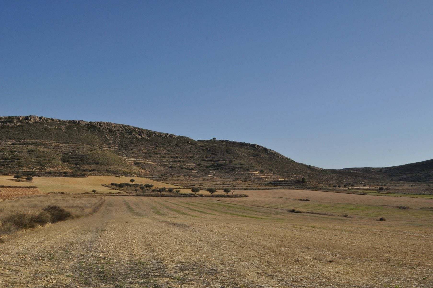 Terrain dans Jumilla, Murcia à vendre Aérien- Image 1 de 12