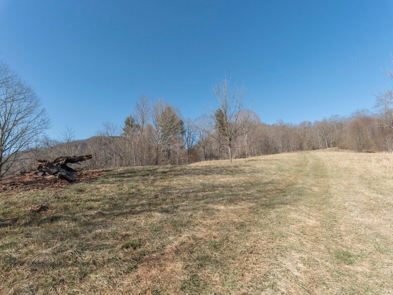 74 Buckeye Cove Rd, Canton, NC for sale - Building Photo - Image 3 of 12