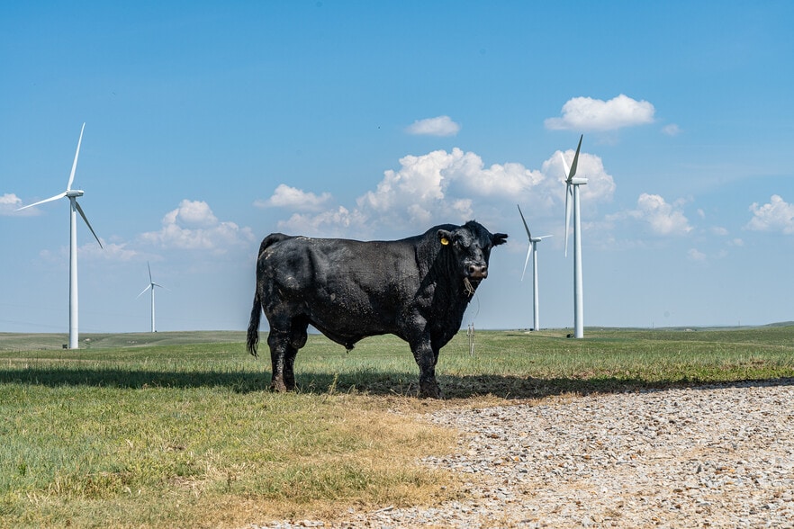 223 KS-14, Lincoln, KS for sale - Building Photo - Image 2 of 23