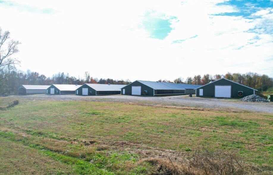 1855 County Road 1579, Baileyton, AL à vendre - Photo principale - Image 1 de 1