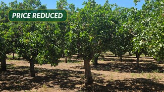 More details for N. side of Ave. 20 E. of Rd. 26, Madera, CA - Land for Sale