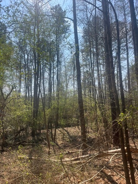Healing Acres Ln, Carthage, NC for sale - Building Photo - Image 3 of 17