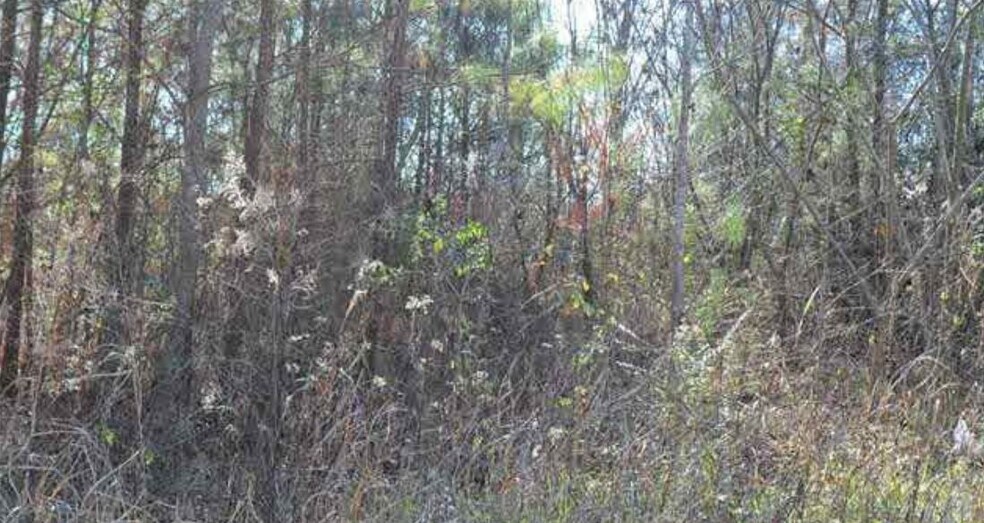 8728 Helena Rd, Pelham, AL for sale - Primary Photo - Image 1 of 1