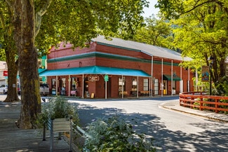 More details for 101 Commercial St, Downieville, CA - Retail for Sale