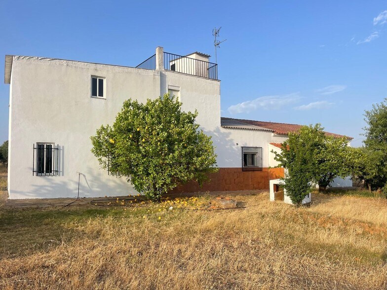 Land in Mérida, Badajoz for sale - Building Photo - Image 3 of 16