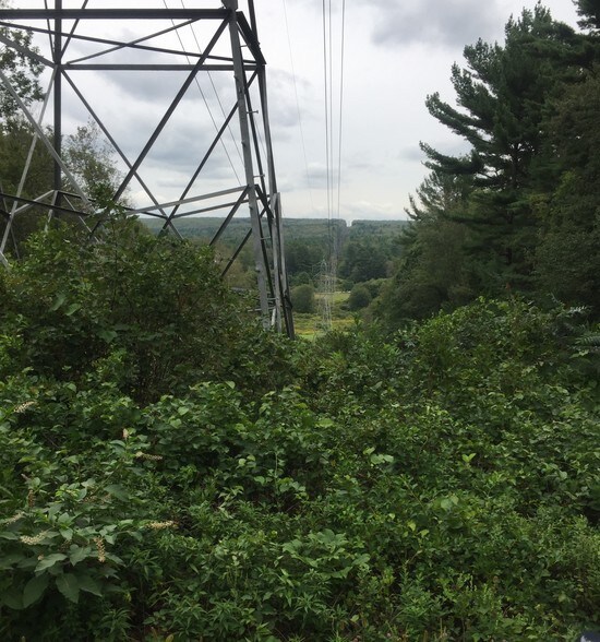 234 Wickaboag Valley Rd, West Brookfield, MA à vendre - Photo du bâtiment - Image 1 de 12