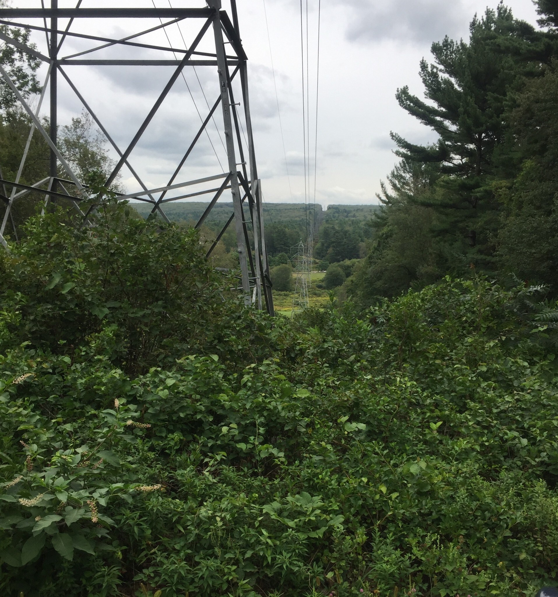 234 Wickaboag Valley Rd, West Brookfield, MA à vendre Photo du bâtiment- Image 1 de 13