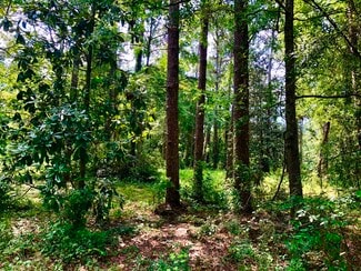 Plus de détails pour 0 Somerset Drive, Roxboro, NC - Terrain à vendre