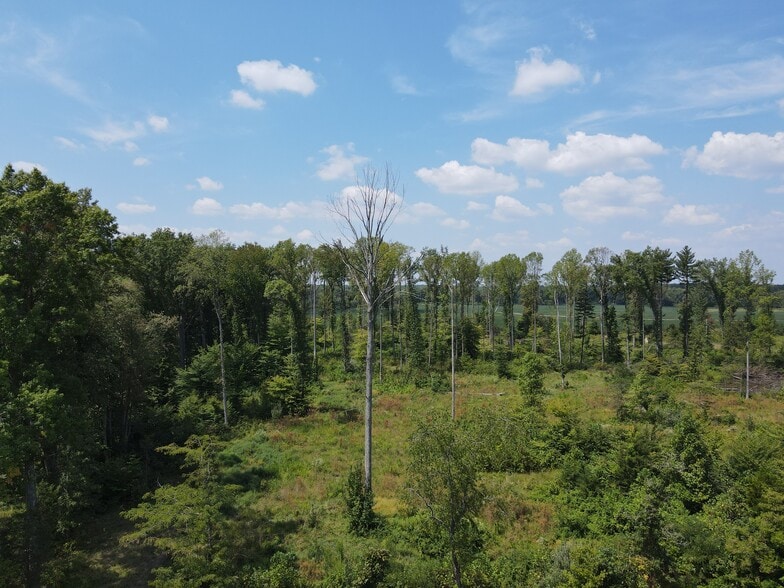 Crane Schoolhouse Road, Bethel, OH for sale - Aerial - Image 3 of 3