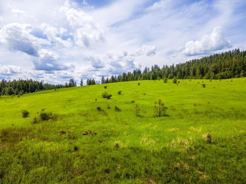 15809 N Scribner Branch Rd, Spokane, WA à vendre - Photo du bâtiment - Image 3 de 47