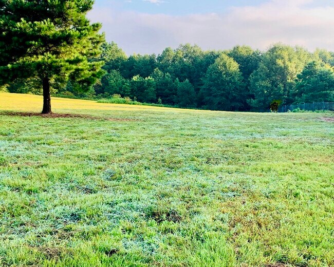 Plus de détails pour 2088 FM1251, Beckville, TX - Terrain à vendre