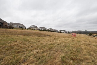 More details for Stephen P Yokich Pky, Spring Hill, TN - Land for Sale