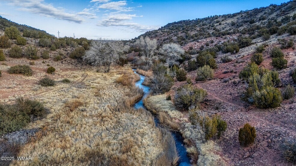 TBD Shumway Rd TBD Shumway Road, Show Low, AZ à vendre - Photo du bâtiment - Image 3 de 25