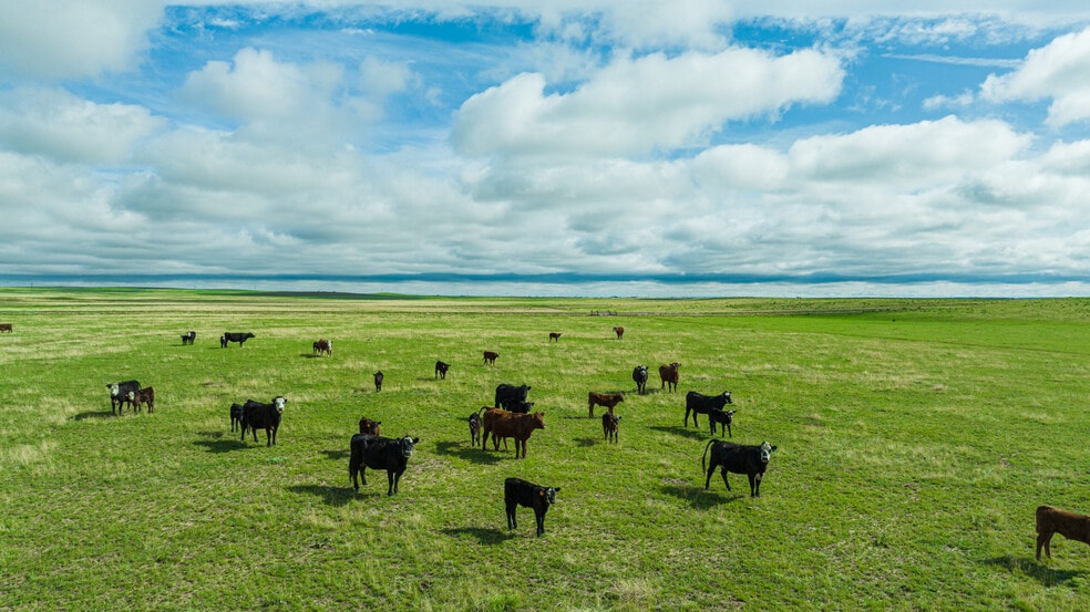 Squirrel Creek Road, Colorado Springs, CO for sale - Building Photo - Image 3 of 40