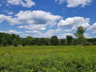 More details for Route 55, La Grange, NY - Land for Sale