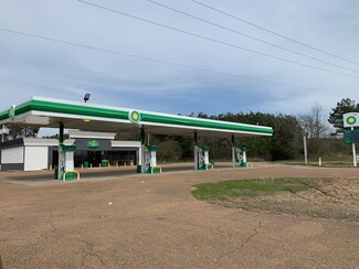 Plus de détails pour 16585 Highway 310 E, Como, MS - Vente au détail à vendre