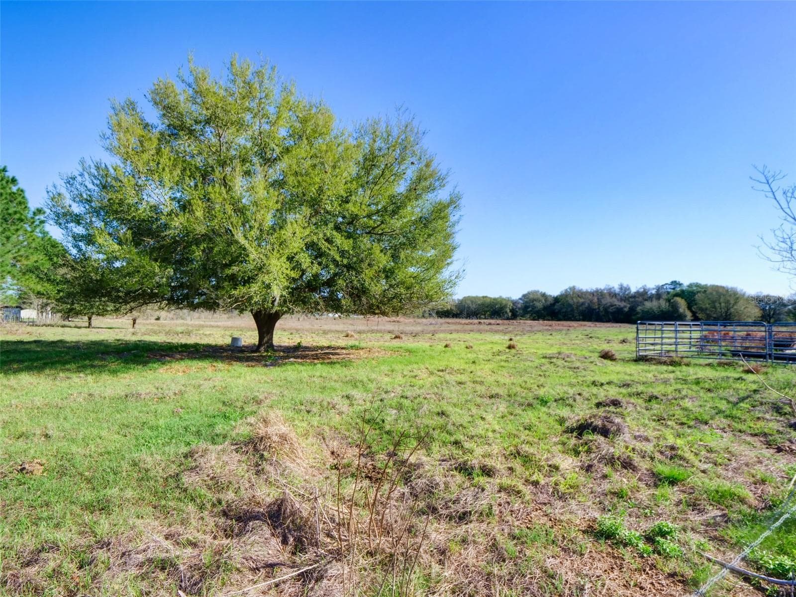 County Road 614A, Bushnell, FL à vendre Photo principale- Image 1 de 20