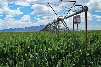 Plus de détails pour RUCKER CANYON ROAD FARM, Elfrida, AZ - Terrain à vendre