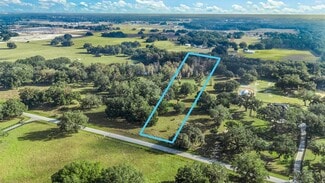 More details for Tract 2 - County Road 221, Wildwood, FL - Land for Sale