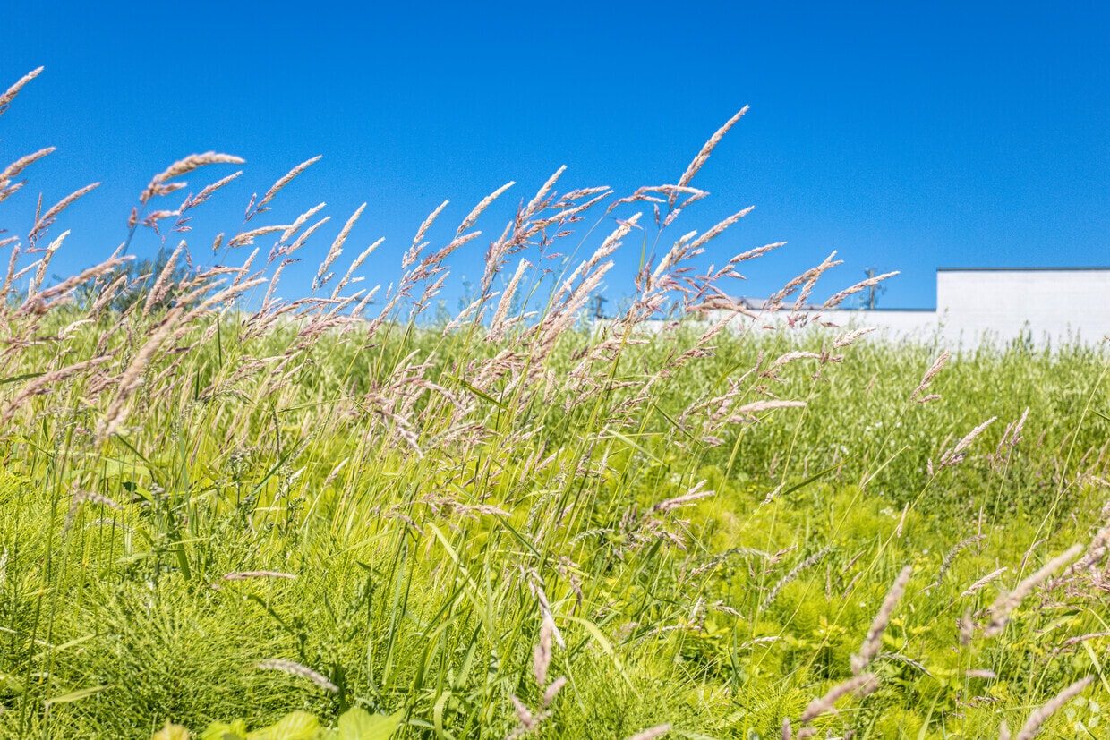 8871-8971 Douglas St, Richmond, BC for sale Primary Photo- Image 1 of 2