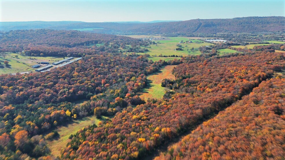 WC 136 Downing Rd rd, Elkins, AR à vendre - Vidéo sur l’inscription commerciale - Image 2 de 40