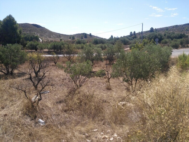 Land in Calasparra, Murcia for sale - Site Plan - Image 3 of 7