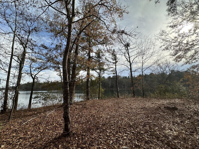 Doc Elliot Retreat, Orangeburg, SC à vendre - Photo du bâtiment - Image 2 de 5