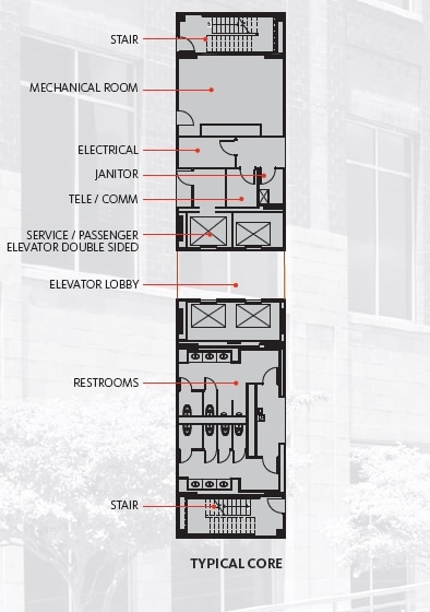 3436 Toringdon Way, Charlotte, NC à louer Autre- Image 1 de 1